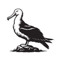 Soaring Albatross Silhouette Vector - Majestic Seabird Design Perfect for Nautical Art - Illustration of Albatross.