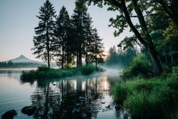 Obraz premium Morning mist envelops tranquil lake surrounded by trees at sunrise in beautiful natural landscape
