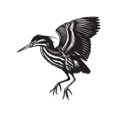 Striking American Bittern Silhouette Vector - Elegant Marsh Bird Design - Minimalist American Bittern Art- American Bittern Illustration.