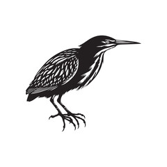 Striking American Bittern Silhouette Vector - Elegant Marsh Bird Design - Minimalist American Bittern Art- American Bittern Illustration.