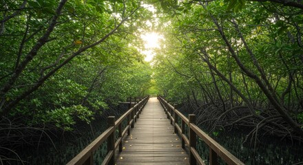 Serene Mangrove Walkway: A Picturesque Path - Tranquil path through lush mangrove forest, symbolizing nature, serenity, exploration, peace, and journey