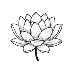 Fototapeta premium Elegant Black and White Line Art Lotus Flower Illustration