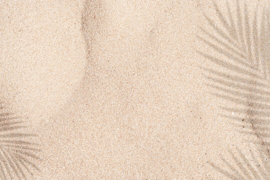 Sand texture background,Summer beach with tropical coconut palm leaf shadow on brown sand background. Nature background of Minimal sunlight over lay on sand dunes  for Summer holiday, vacation, travel