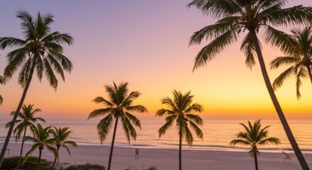 Obraz premium Tropical Sunset Beach Paradise - Stunning sunset over a pristine beach, silhouetted by majestic palm trees. Perfect for travel, vacation, or relaxation themes