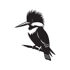 Dynamic Belted Kingfisher Silhouette Vector - Striking Bird Design Perfect for Nature Art - Educational Materials - Illustration of Belted Kingfisher.