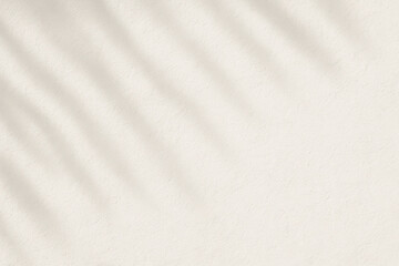 Obraz premium Minimal light cream stucco wall with soft palm shadows for natural organic product mockup or beauty skincare background
