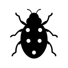 ladybug on white background