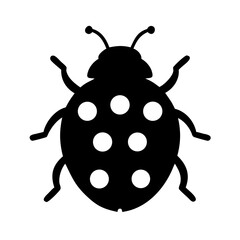 ladybug on white background