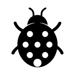 ladybug on white background