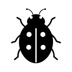 ladybug on white background