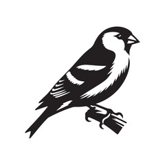Fototapeta premium Charming American Goldfinch Silhouette Vector - Vibrant Bird Design Perfect for Nature Art - Minimalist American Goldfinch Illustration.