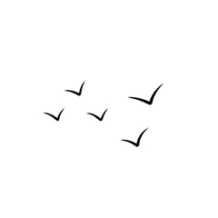 flying birds