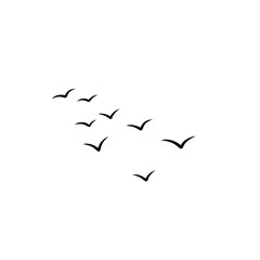 flying birds