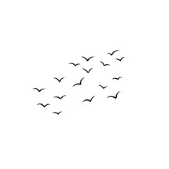 flying birds
