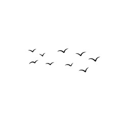 flying birds