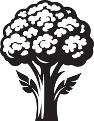 Cauliflower silhouette vector art illustration. Cauliflower vector icon.