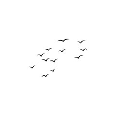 flying birds