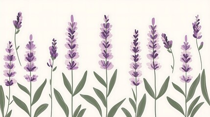 Naklejka premium Lavender flowers illustration.