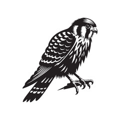 Sleek American Kestrel Silhouette Vector: Dynamic Bird of Prey Design Perfect for Wildlife Art - Black and White American Kestrel Illustration.