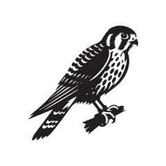 Sleek American Kestrel Silhouette Vector: Dynamic Bird of Prey Design Perfect for Wildlife Art - Black and White American Kestrel Illustration.