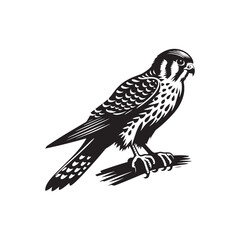 Fototapeta premium Sleek American Kestrel Silhouette Vector: Dynamic Bird of Prey Design Perfect for Wildlife Art - Black and White American Kestrel Illustration.