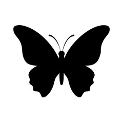 butterfly vector illustration