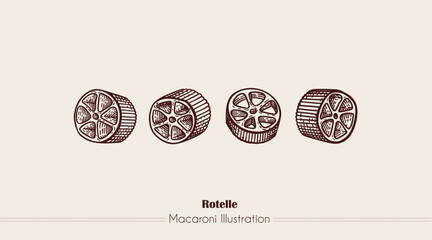 Rotelle Italian Pasta. Vector hand-drawn sketch of food. Vintage style engraving. etching. Line art