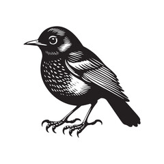 Elegant American Robin Silhouette Vector: Vibrant Songbird Design - Illustration of American Robin bird - Minimalist Bird Art.