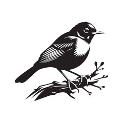 Elegant American Robin Silhouette Vector: Vibrant Songbird Design - Illustration of American Robin bird - Minimalist Bird Art.