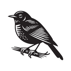 Elegant American Robin Silhouette Vector: Vibrant Songbird Design - Illustration of American Robin bird - Minimalist Bird Art.