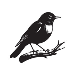 Fototapeta premium Elegant American Robin Silhouette Vector: Vibrant Songbird Design - Illustration of American Robin bird - Minimalist Bird Art.