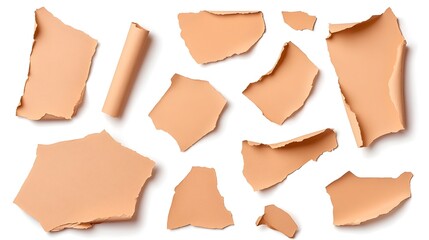 Collection of ripped, light-brown paper scraps on white background