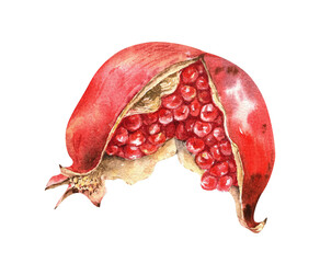 Red pomegranate watercolor illustration isolated on white. Ripe exotic fruit for summer botanical design. Hand drawn sketch in realistic style. Healthy natural food clipart.
