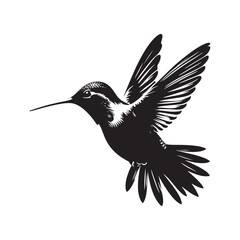 Anna's hummingbird Vector - Minimalist Anna's hummingbird Silhouette - Anna's hummingbird Illustration - Black and White Anna's hummingbird Art.