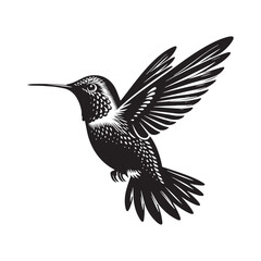 Anna's hummingbird Vector - Minimalist Anna's hummingbird Silhouette - Anna's hummingbird Illustration - Black and White Anna's hummingbird Art.