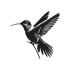 Anna's hummingbird Vector - Minimalist Anna's hummingbird Silhouette - Anna's hummingbird Illustration - Black and White Anna's hummingbird Art.
