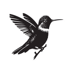 Anna's hummingbird Vector - Minimalist Anna's hummingbird Silhouette - Anna's hummingbird Illustration - Black and White Anna's hummingbird Art.