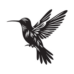 Anna's hummingbird Vector - Minimalist Anna's hummingbird Silhouette - Anna's hummingbird Illustration - Black and White Anna's hummingbird Art.