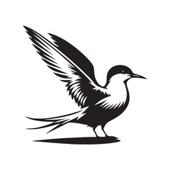 Obraz premium Minimalist Arctic tern Silhouette - Vector of Arctic tern - Black and White Arctic tern bird Design - Artic tern Illustration.