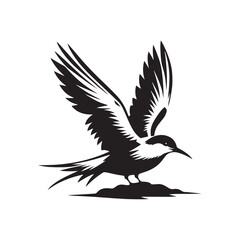 Minimalist Arctic tern Silhouette - Vector of Arctic tern - Black and White Arctic tern bird Design - Artic tern Illustration.