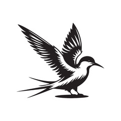 Obraz premium Minimalist Arctic tern Silhouette - Vector of Arctic tern - Black and White Arctic tern bird Design - Artic tern Illustration.