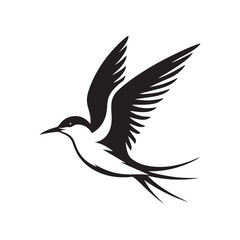 Minimalist Arctic tern Silhouette - Vector of Arctic tern - Black and White Arctic tern bird Design - Artic tern Illustration.