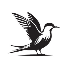 Minimalist Arctic tern Silhouette - Vector of Arctic tern - Black and White Arctic tern bird Design - Artic tern Illustration.