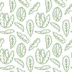 Green vector lettuce pattern on transparent background, romaine lettuce.