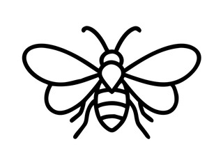 bee on white background