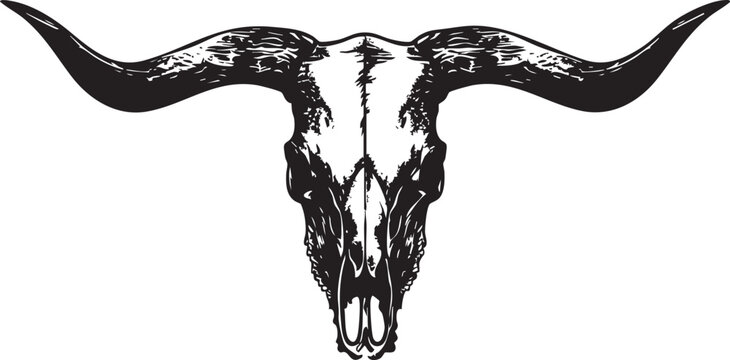 Black and white illustration of a bull skull with long curved horns isolated on white background