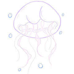 Jellyfish 
