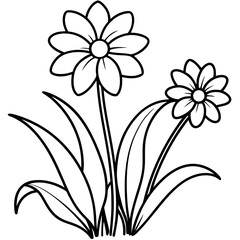 lily flower isolated on white background