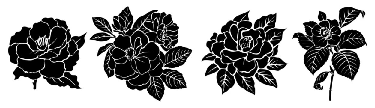 Set of black silhouettes of decorative fresh blossoming camelia flowers with steam and leaves. Hand drawn outline flower icon. Vector monochrome illustrations isolated on transparent background.