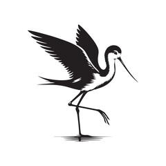 Black-winged stilt Silhouette - Black-winged stilt Vector - Illustration of Black-winged stilt - Black and White Black-winged stilt Design.